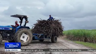 South Africa sugar stakeholders unveil first masterplan to stabilize sector