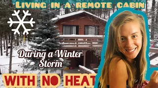 A day in the life living in a remote cabin in the woods (vlog)