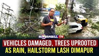 VEHICLES DAMAGED, TREES UPROOTED AS RAIN, HAILSTORM LASH DIMAPUR