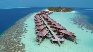 Discover True Colors of Maldives at Vilamendhoo Island Resort and Spa