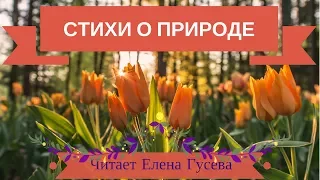 Простая песня. Владимир Набоков (слушать стихи о природе)