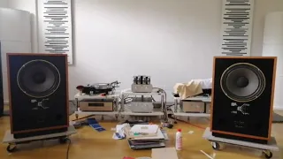 Tannoy berkeley, microseiki rx1500, dynavector dv 505, miyajima takumi, kondo