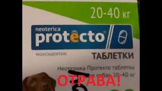 PROTECTO ТАБЛЕТКИ  ОТРАВА!