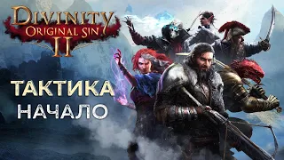 Прохождение Divinity Original Sin 2 Definitive Edition | Тактика. Начало #1