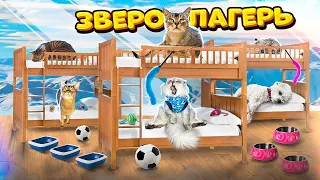 24 ЧАСА В ЗВЕРОЛАГЕРЕ ДЛЯ КОТОВ НА УЛИЦЕ! КОТЫ В ШОКЕ И ХОТЯТ ДОМОЙ