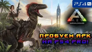 ПРОБУЕМ АРК НА PS4 PRO!