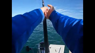 EPIC BLUEFIN TUNA FISHING ON LIGHT TACKLE!!!!!!! CAPECOD