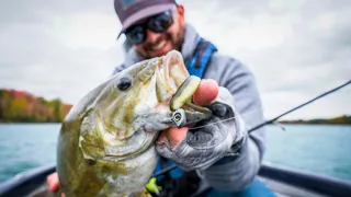 Swimbait and Crankbait Tricks for Early Spring Bass Fishing