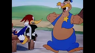 Woody Woodpecker Wally Walrus Laugh (1944-1953)