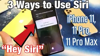 How to Use Siri on iPhone 11, 11 Pro, and 11 Pro Max: 3 Ways!