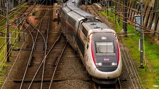 Compilation de TGV, TER, FRET... autour d'Angers : PREMIÈRE PARTIE