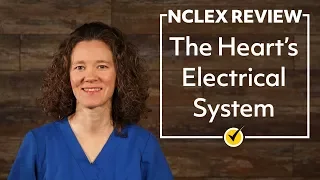 Best Electrical Conduction System of the Heart Review | NCLEX Review