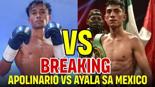 BREAKING: Dave Apolinario vs Angel Ayala BAKBAKAN NA! $255K Purse Bid!  IBF Flyweight Championship