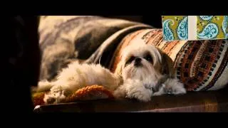 Seven Psychopaths HD Trailer