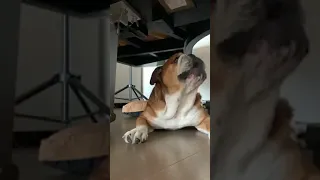 Lewis Hamilton Plays "Imagine" (John Lennon) On The Piano While Roscoe Sings