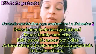 1 e 2 trimestre da minha gravidez🤰🏻 diário de gestante | Daiane Mello