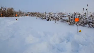 Пришли на рыбалку... А тут! Сработок немерено! Когда начали проверять...