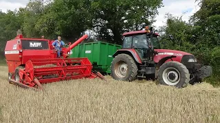 Harvest 2020 - Combining Barley with Vintage Massey Ferguson 440 plus Case Maxxum in support