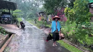 Rain in rural Indonesia||very beautiful and comfortable||sleep in 5 minutes