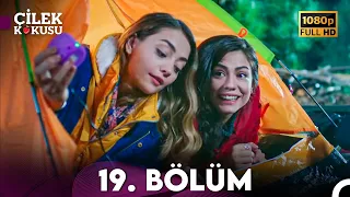 Çilek Kokusu 19. Bölüm ᴴᴰ