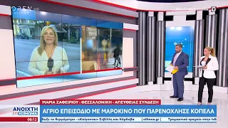 Θεσσαλονίκη: Άγριο επεισόδιο με Μαροκινό που παρενόχλησε κοπέλα |Ανοιχτή επικοινωνία 27/6/23|OPEN TV