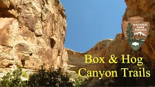 Virtual Hikes: Box & Hog Canyon Trails | Dinosaur National Monument