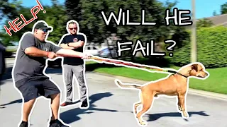 OUT OF CONTROL DOG NEEDS TRAINING BAD!  PART 1 Before Training