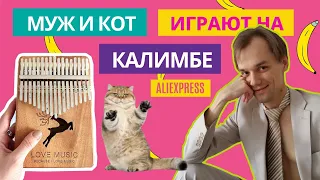 Как играть на калимбе | Муж и кот играют на калимбе Цоя