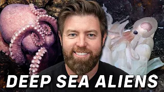 New Mystery Species Found At Bottom Of The Ocean - The Wild Times Ep. 139