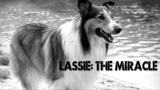 Lassie: The Miracle (1970)