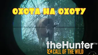 ОХОТА НА ОХОТУ!!! -- THE HUNTER CALL OF THE WILD #1