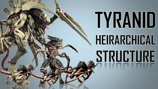 13 Ranks in a Tyranid Hierarchy (Warhammer 40K)