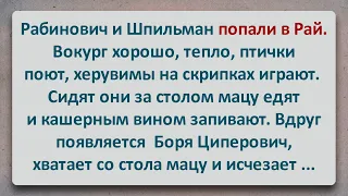 ✡️ Яша и Фима Попали в Рай! Еврейские Анекдоты! Анекдоты про Евреев! Выпуск #204