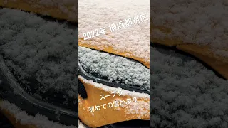 #shorts 大雪！猫はこたつで丸くならない😊  スープラ初雪 #猫    #grスープラ #マンチカン #雪 #スープラ #猫動画