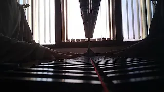 Alan Walker - Lily (piano cover)