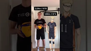 How tall am I compared to Haikyuu Characters? 🏐🔥🤷‍♀️