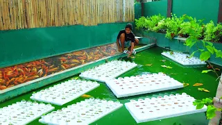 Using Hundreds of disposable cups for backyard Aquaponics! 300 QUAILS as our Future Layers│Episode 3