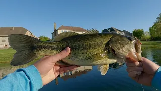 EARLY To LATE SPRING Bass Fishing | Small Ponds Hold Surprising Fish!