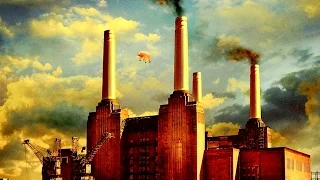 Pink Floyd   "Dogs"  (Legendado)