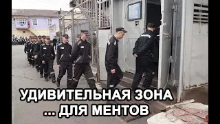 ЗОНА ДЛЯ МЕНТОВ