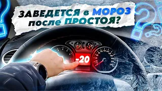 Запуск машины в МОРОЗ после простоя! Заведется?