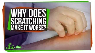 Why Does Scratching Make Itching Worse?