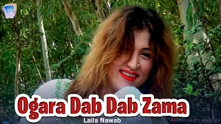 Ogora Dab Dab Zama Sal Mey Pa Ardal | Irfan Kamal And Laila Nawab