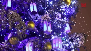 The main Christmas tree of Ukraine lights up in Kyiv - В Киеве зажгли главную елку Украины