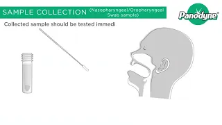 Panodyne Covid-19 Antigen Rapid Test Kit - Available Now