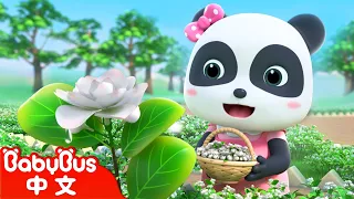 茉莉花 | 經典中文兒歌 | 熱門國語兒歌 | Kids Song | 童謠 | 動畫 | 卡通片 | BabyBus | 寶寶巴士