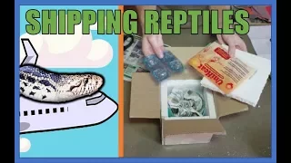 How to Ship Reptiles!