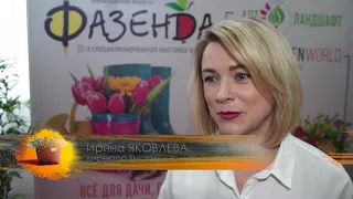 Телеканал "Усадьба". Выставка "Фазенда", 2018