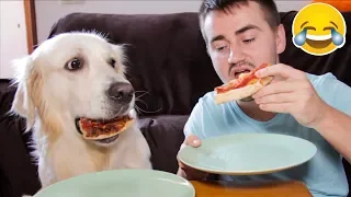 Super Funny Pizza Eating with My Cute Dog Bailey [Try Not To Smile]