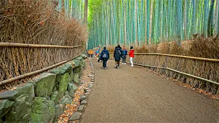 Arashiyama Bamboo Forest Walk in Kyoto, Japan • 4K HDR (re-upload)